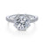 Gabriel & Co 18k White Gold Octagonal Halo Round Diamond Engagement Ring  ER14526R6W83JJ